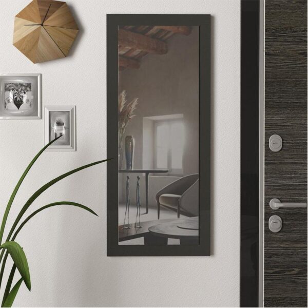 ΚΑΘΡΕΦΤΗΣ ΤΟΙΧΟΥ Fylliana Gabriel ΑΝΘΡΑΚΙ 45x105εκ