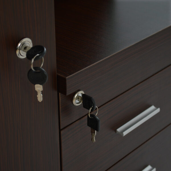 ΝΤΟΥΛΑΠΙ ΓΡΑΦΕΙΟΥ ΕΠΑΓΓΕΛΜΑΤΙΚΟ WENGE  HM2052.02L 60x46x120