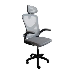 karekla-grafeioy-fylliana-fl850-gkri-chroma-63x55x101ek1762868101.jpg ΚΑΡΕΚΛΑ ΓΡΑΦΕΙΟΥ Fylliana FL850 ΓΚΡΙ ΧΡΩΜΑ 63x55x101εκ