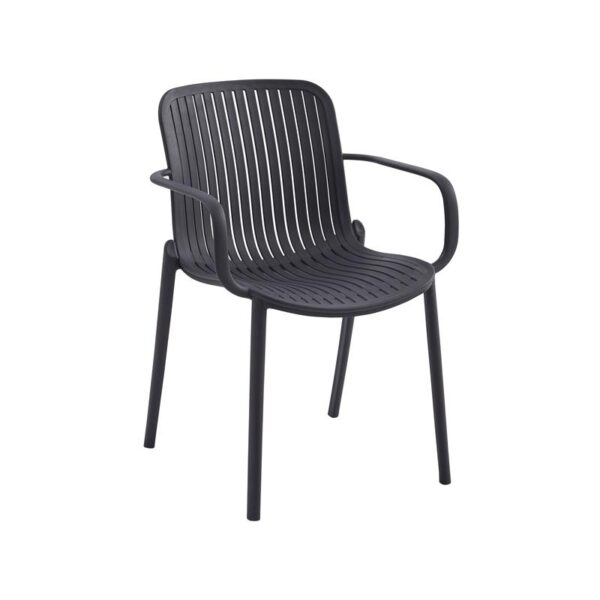 ΚΑΡΕΚΛΑ ΚΗΠΟΥ ΠΟΛΥΠΡΟΠΥΛΕΝΙΟΥ Fylliana "Iole" ΜΑΥΡΟ ΧΡΩΜΑ 58x57x82εκ