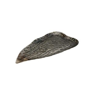 metalliki-diakosmitiki-piatela-fylliana-fl800-antike-asimi-chroma-44x25x3ek1728893706.jpg ΜΕΤΑΛΛΙΚΗ ΔΙΑΚΟΣΜΗΤΙΚΗ ΠΙΑΤΕΛΑ Fylliana FL800 ΑΝΤΙΚΕ ΑΣΗΜΙ ΧΡΩΜΑ 44x25x3εκ