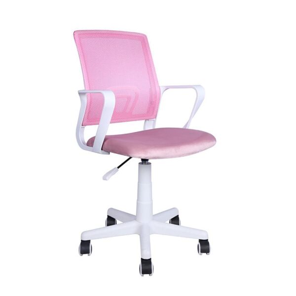 karekla-grafeioy-fylliana-fl5508-roz-me-leyko-skeleto-50x51x95ek1752492609.jpg ΚΑΡΕΚΛΑ ΓΡΑΦΕΙΟΥ Fylliana FL5508 ΡΟΖ ΜΕ ΛΕΥΚΟ ΣΚΕΛΕΤΟ 50x51x95εκ