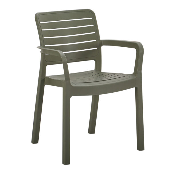 polythrona-exotchoroy-fb9636905-dark-oli.jpg ΠΟΛΥΘΡΟΝΑ ΕΞΩΤ.ΧΩΡΟΥ FLAN HM6369.05 DARK OLIVE ΠΟΛΥΠΡΟΠΥΛΕΝΙΟ 57x56x82.5Yεκ.