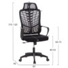 ΚΑΡΕΚΛΑ ΓΡΑΦΕΙΟΥ ELVAR HM1219.01 ΜΑΥΡO MESH--ΒΑΣΗ ΠΟΛΥΠΡΟΠΥΛΕΝΙΟΥ 63x56x125Υεκ